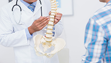 Doctor with Spine Model