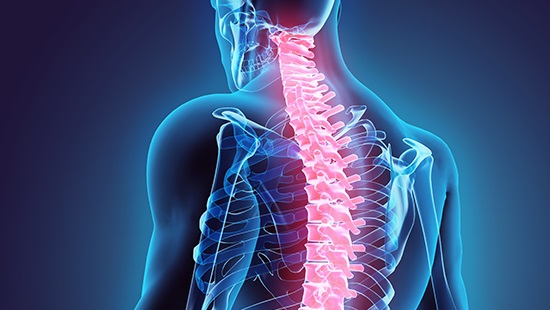 Medical image of spine