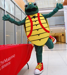 Turbo the Turtle from the University of Maryland Children's Hospital