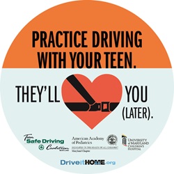 image of Practice Driving with You Team logo