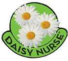 Daisy Nurses award Logo