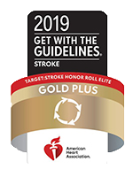 AHA Gold Plus logo for 2019.
