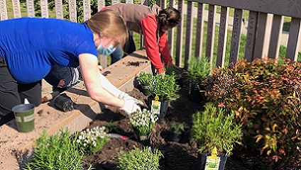 Two providers are planting new plants in a garden area of a children's park