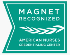 Magnet logo