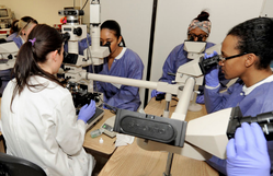 Female students wearing scrubs looking through microscope