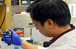 Student in lab wearing gloves working on an experiment