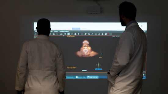 Two doctors viewing scans