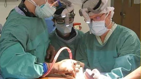 Three orthopedic trauma surgeons 