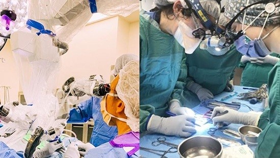 otorhinolaryngology surgery training