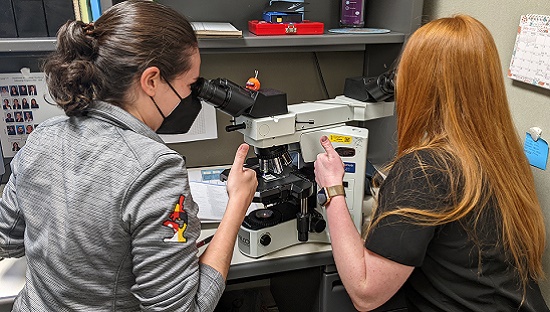 Two people looking into microscopes, putting their thumbs up. 