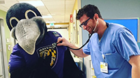Doctor checking heart rate of the Ravens' mascot