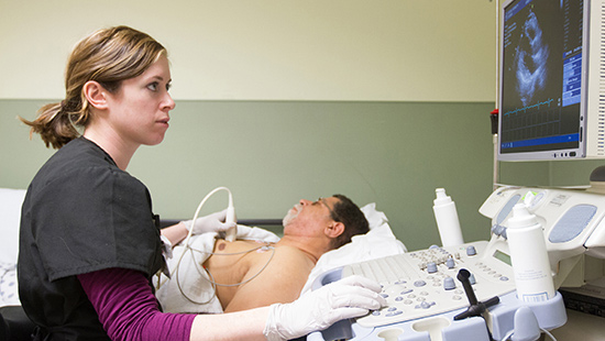 Cardiac Diagnosis - nurse looking at a heart scan