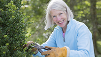 A woman trimming bushes outside