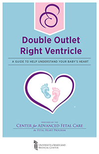 Double Outlet Left Ventricle booklet