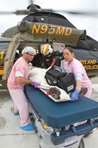 Photo of a patient being wheeled into Shock Trauma from helicopter pad