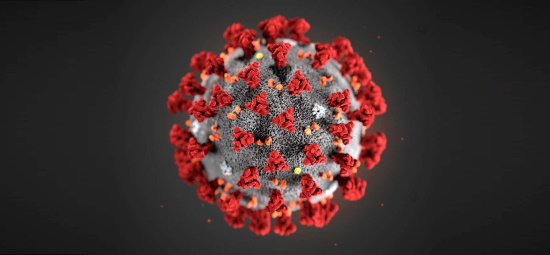 picture of coronavirus 