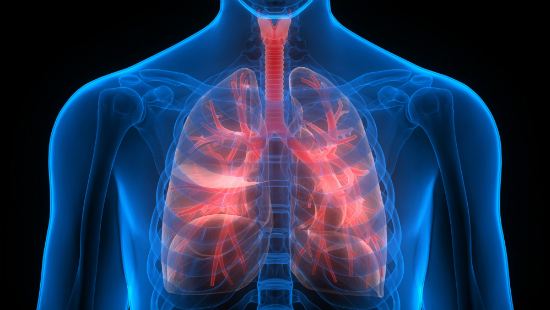 x-ray look at lungs