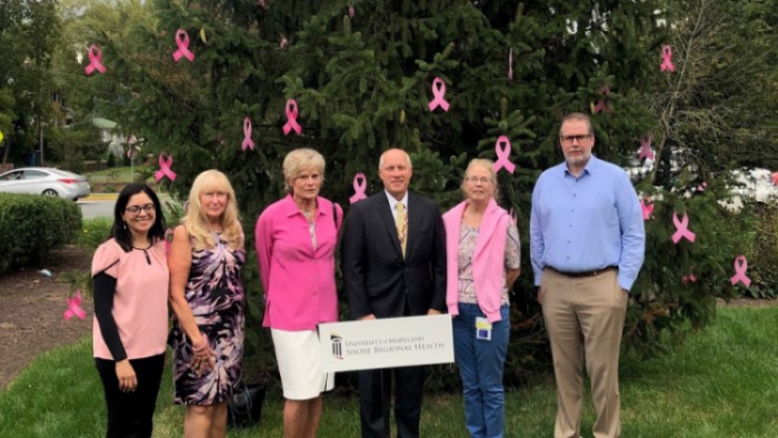 Six people stand in front of a large tree with pink ribbons hung from its branches.