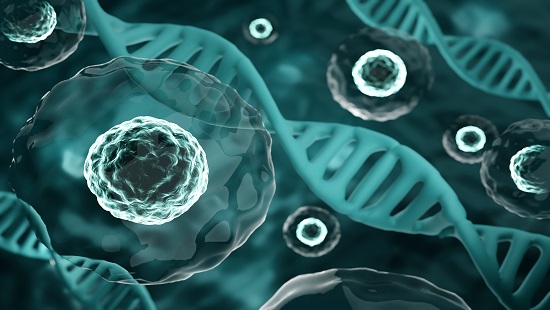 Allogeneic stem cell transplant